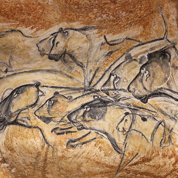 Grotte chauvet